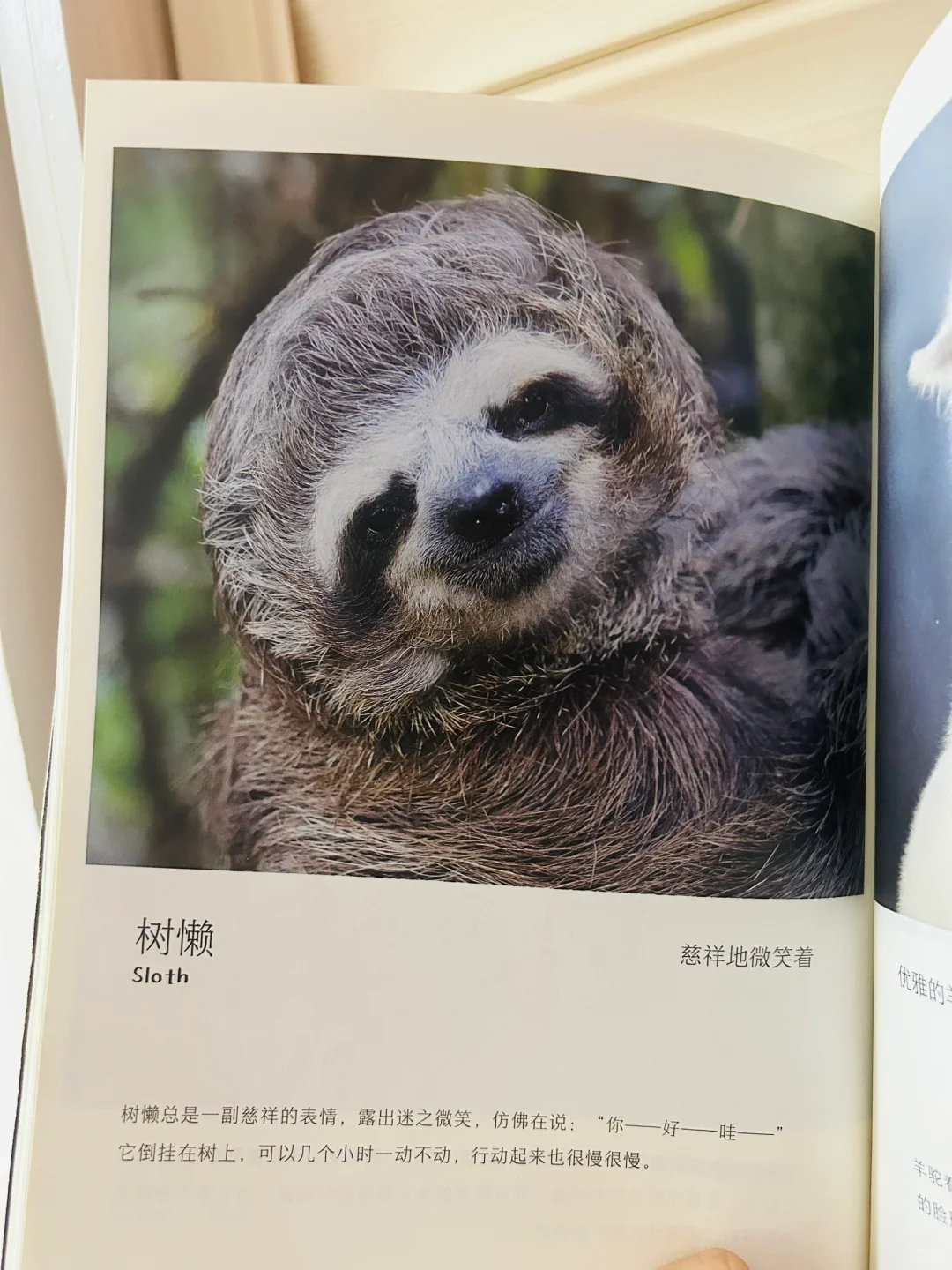 谢谢你‼️让两岁儿子认识了近200动植物！