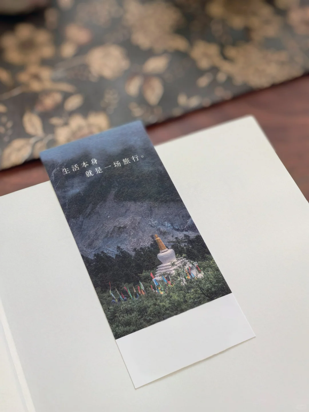 庆山新书把我整破防了| 女生35岁前必读！
