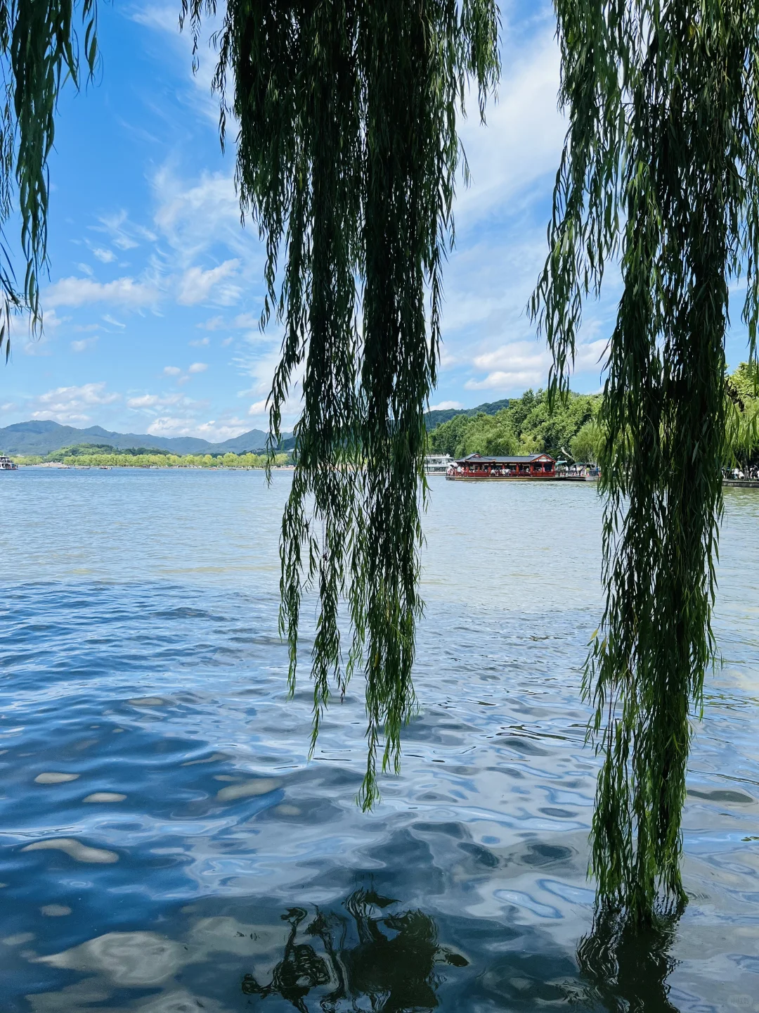 旅行结束，回家踏实搞新书！