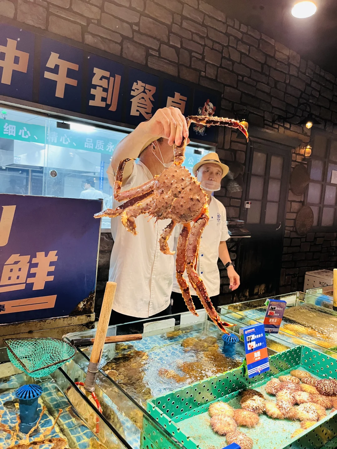 旅行结束，回家踏实搞新书！