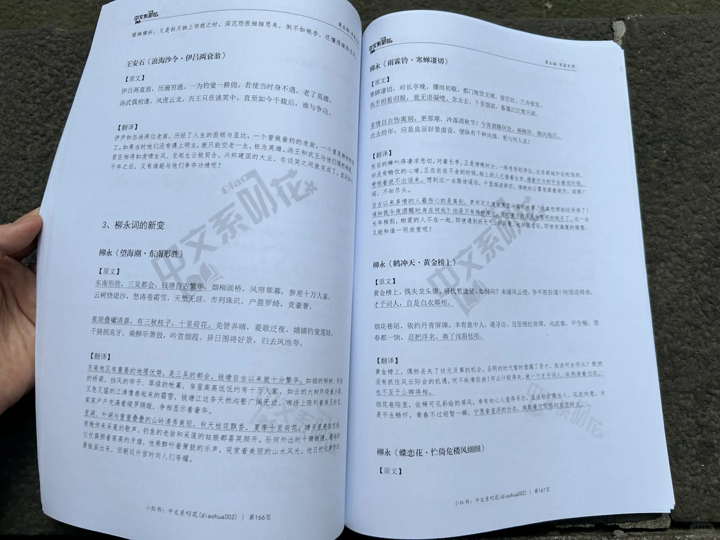 诗词本！你的古代文学背书搭子来啦！