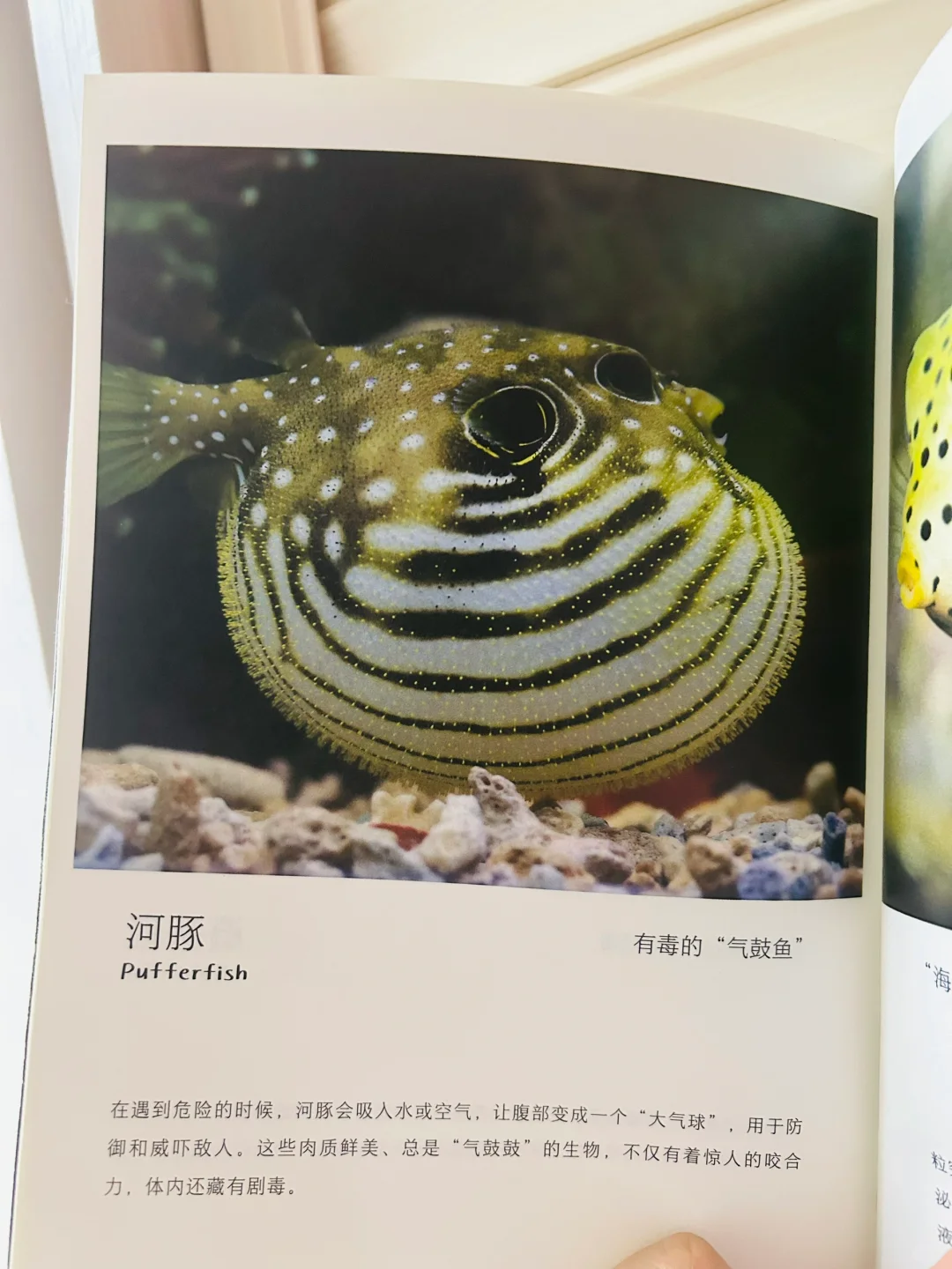 谢谢你‼️让两岁儿子认识了近200动植物！