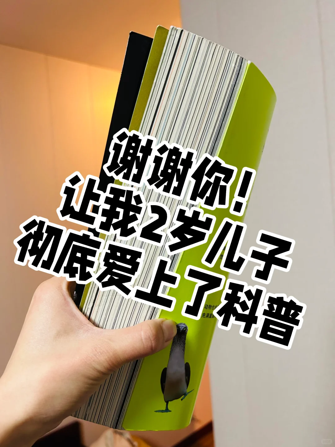 谢谢你‼️让两岁儿子认识了近200动植物！