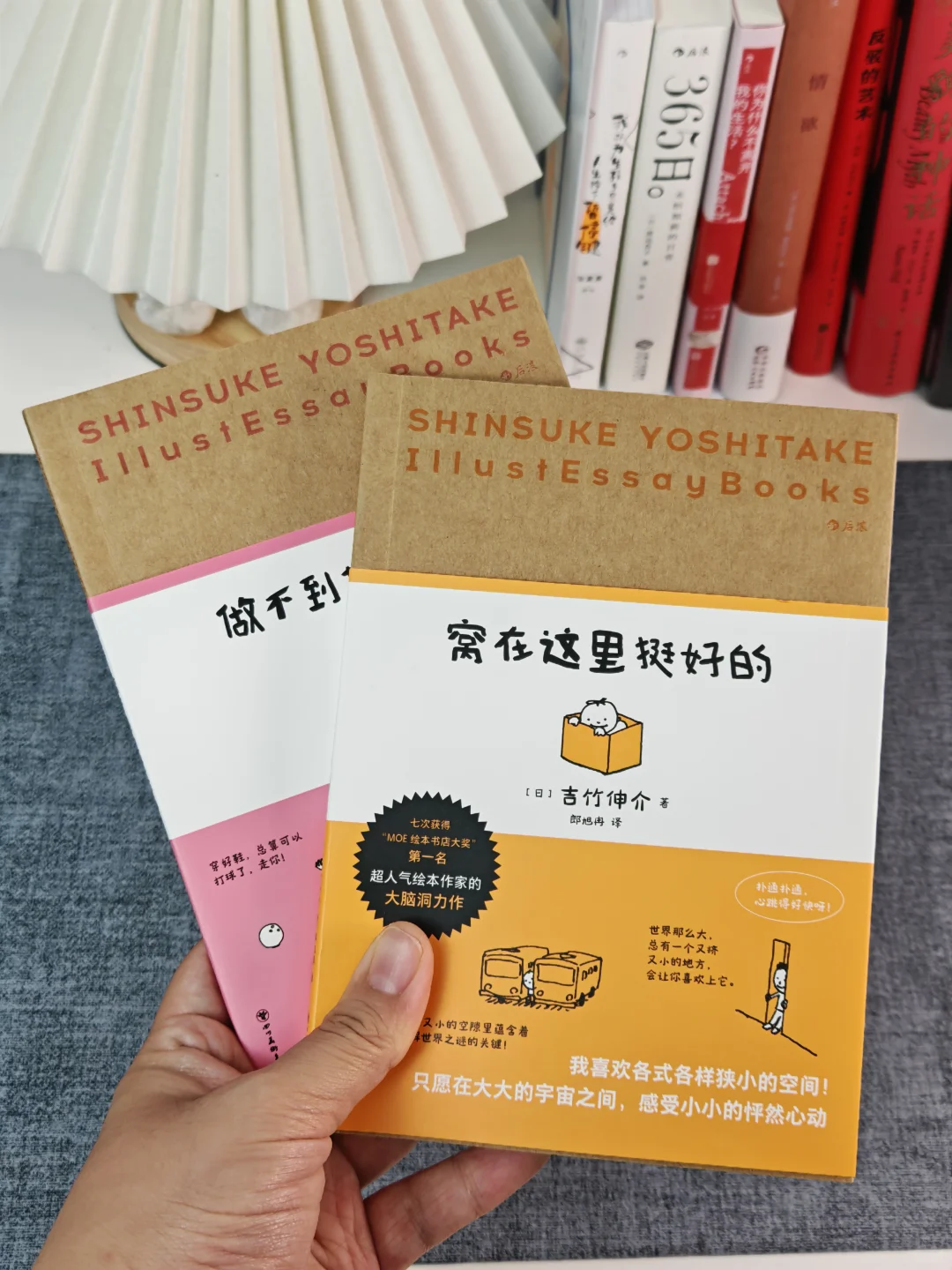 窝在书里治空心｜躺平以后我自愈了