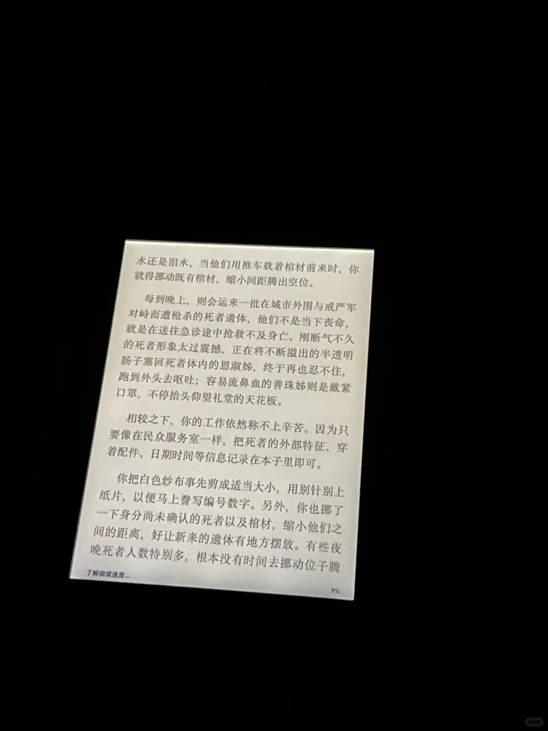 肯豆