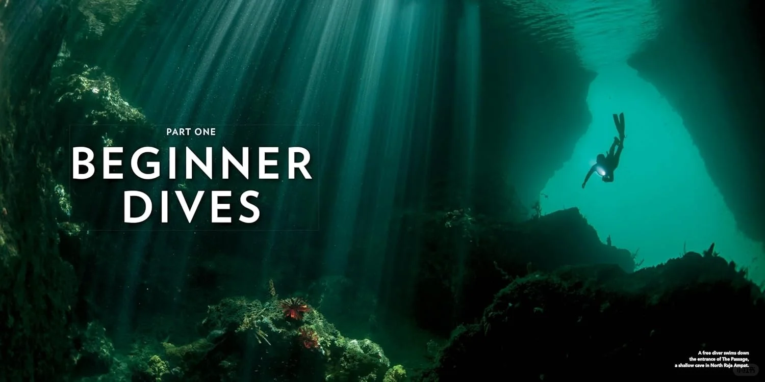 100 Dives of a Lifetime潜水旅游胜地