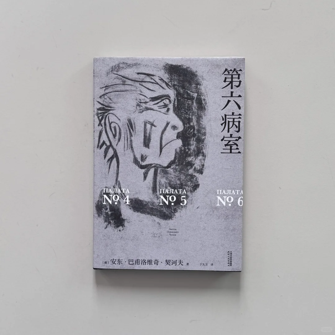 11本新书度过这个夏天
