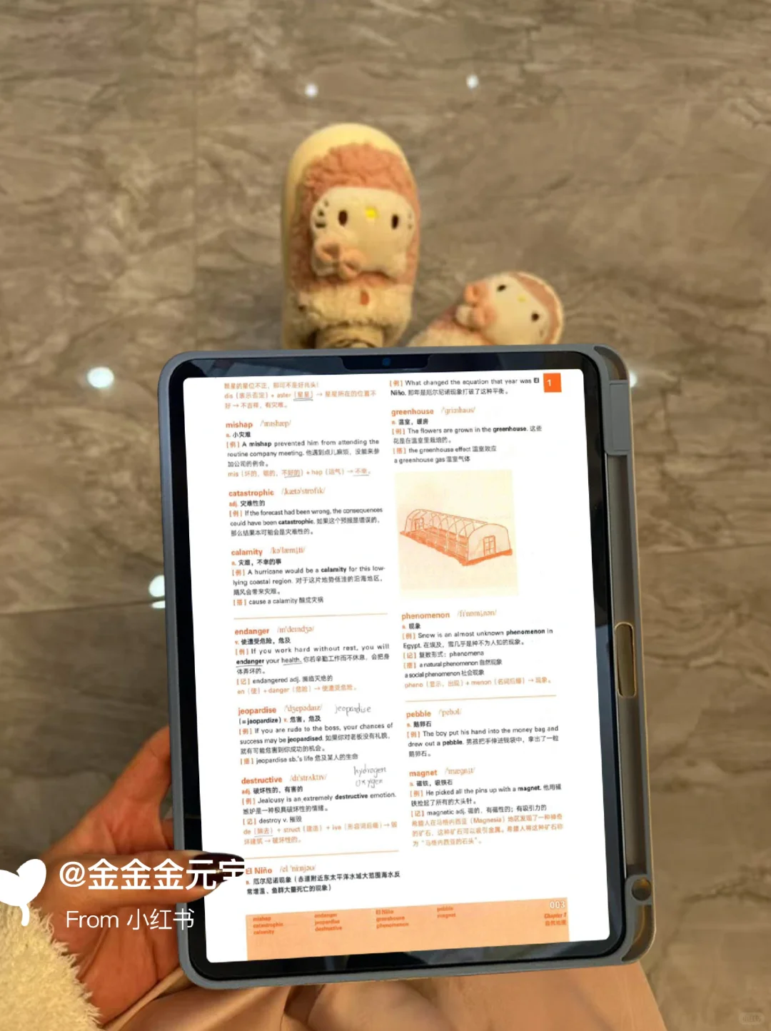 雅思词汇真经PDF电子版🌋真的巨好用👍