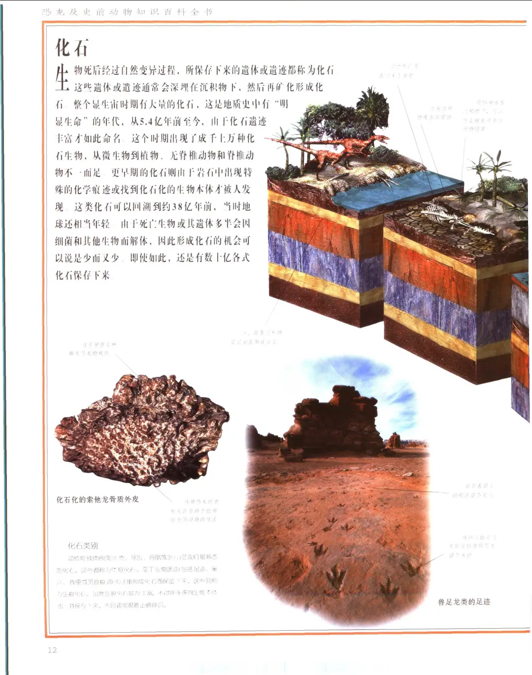 优秀图书推荐-恐龙及史前动物知识百科全书