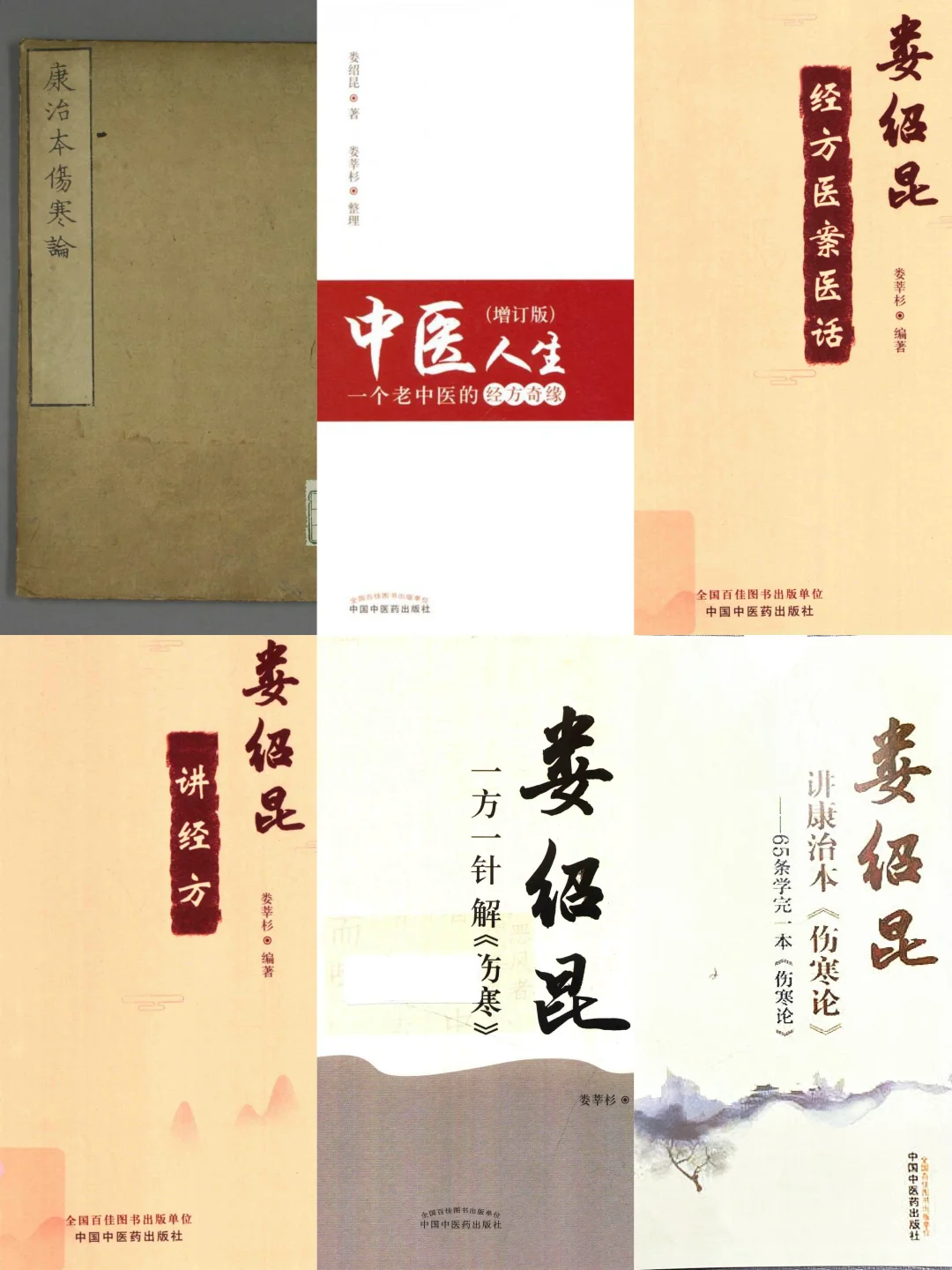 娄绍昆医书大合集电子书版本pdf