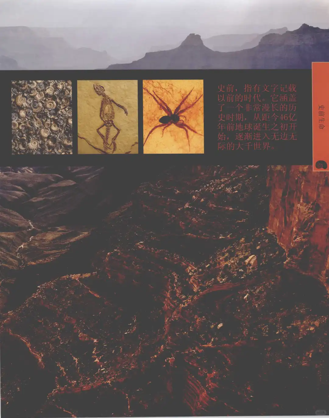 优秀图书推荐-儿童恐龙百科全书