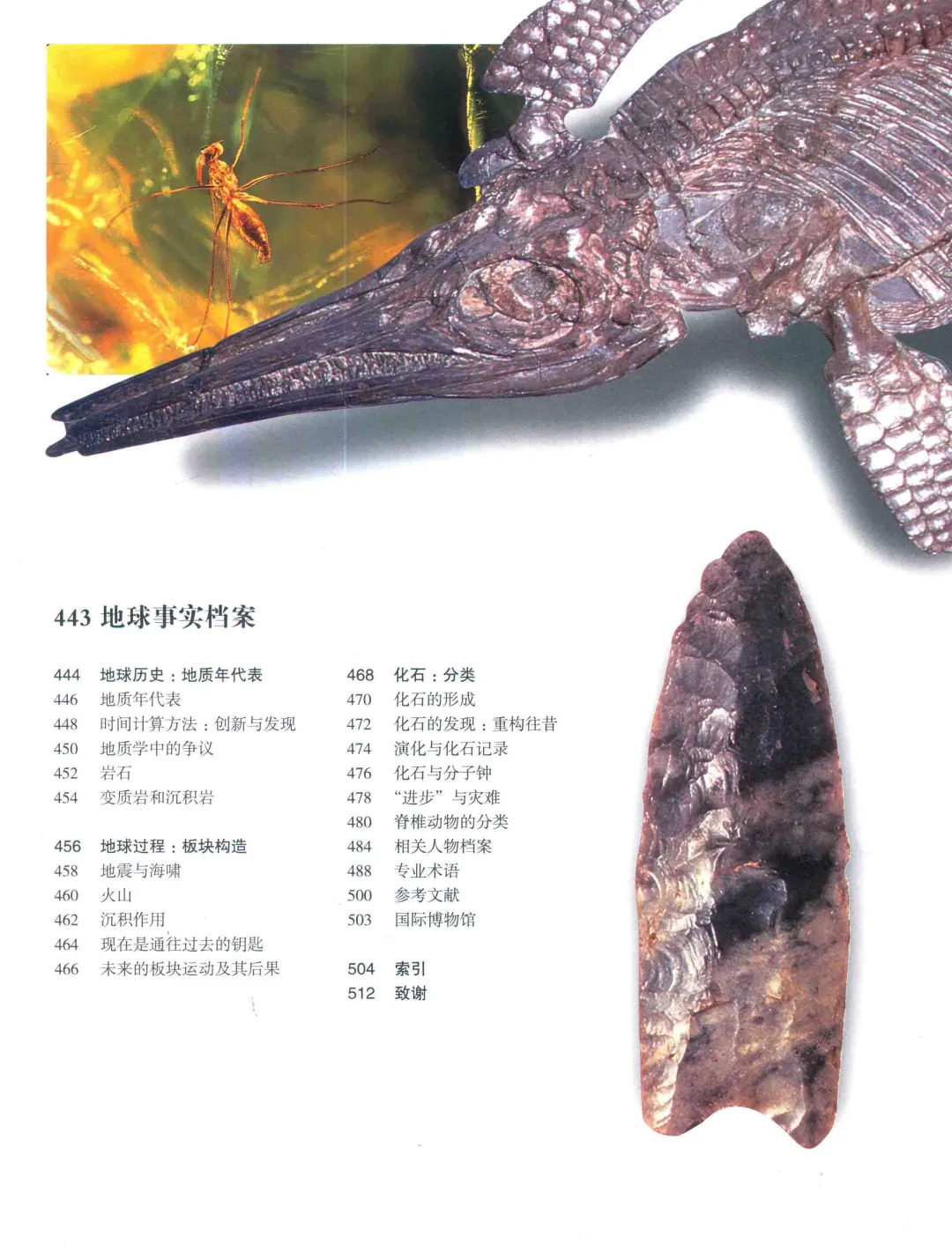 优秀图书推荐-史前世界大图鉴