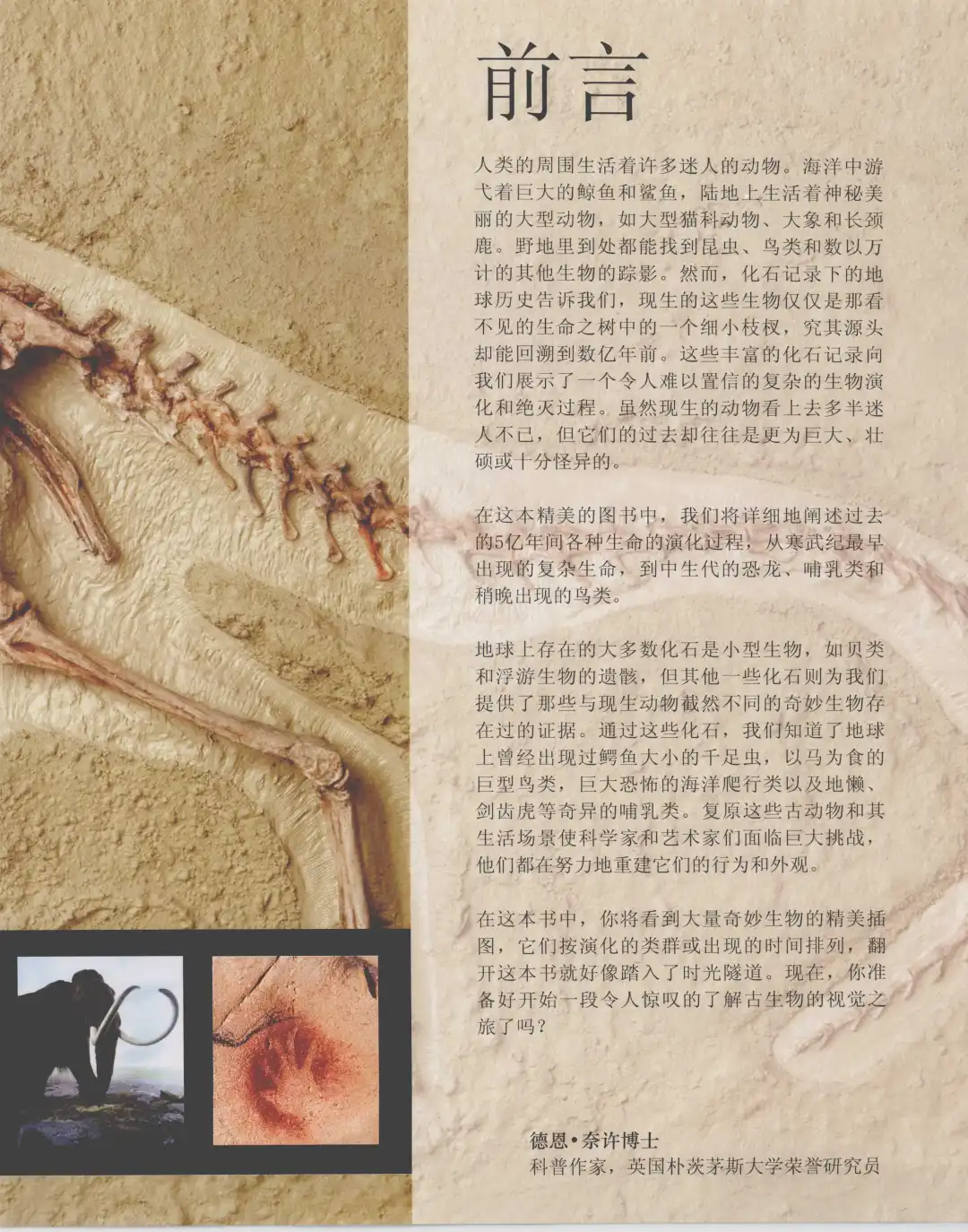 优秀图书推荐-儿童恐龙百科全书