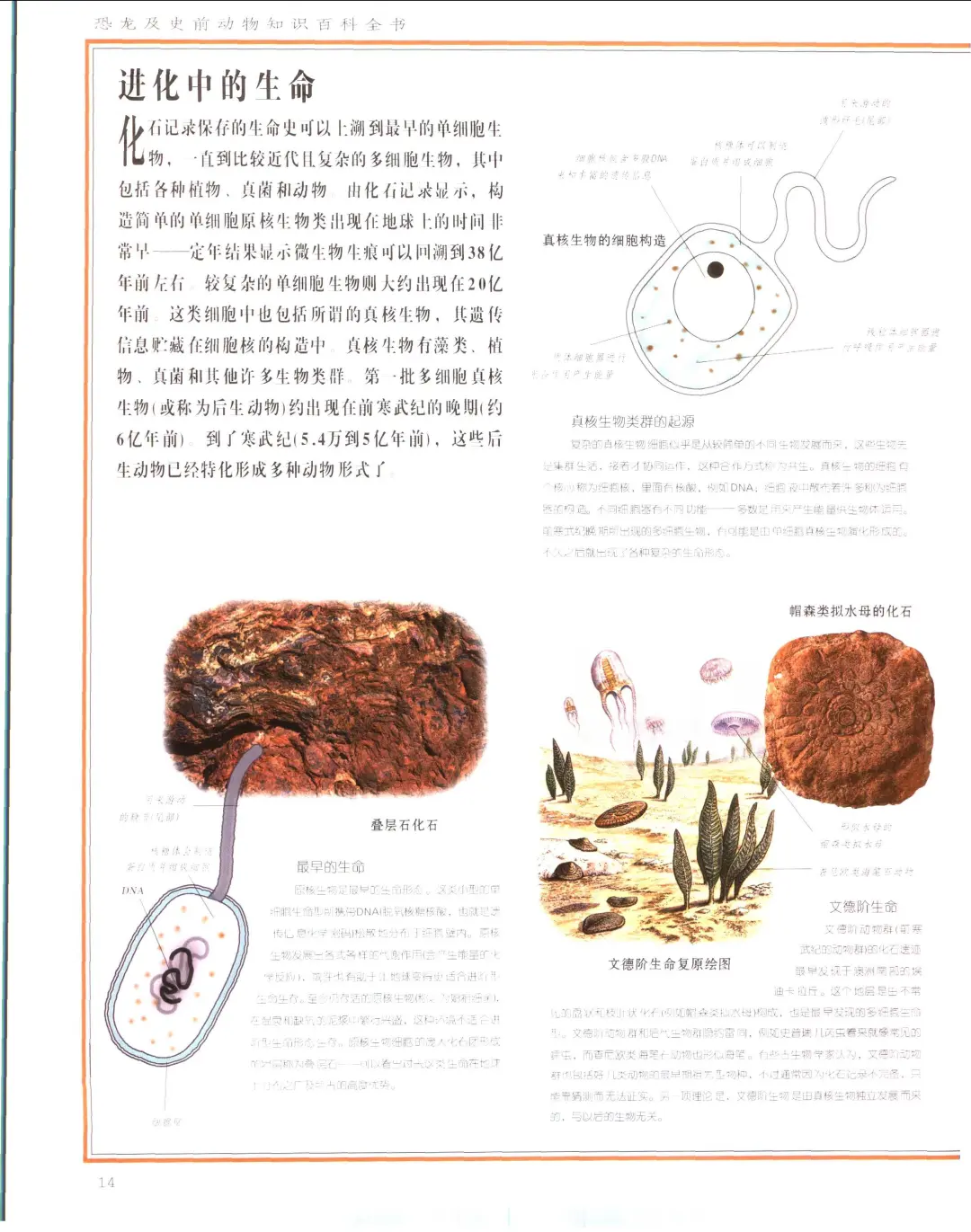 优秀图书推荐-恐龙及史前动物知识百科全书