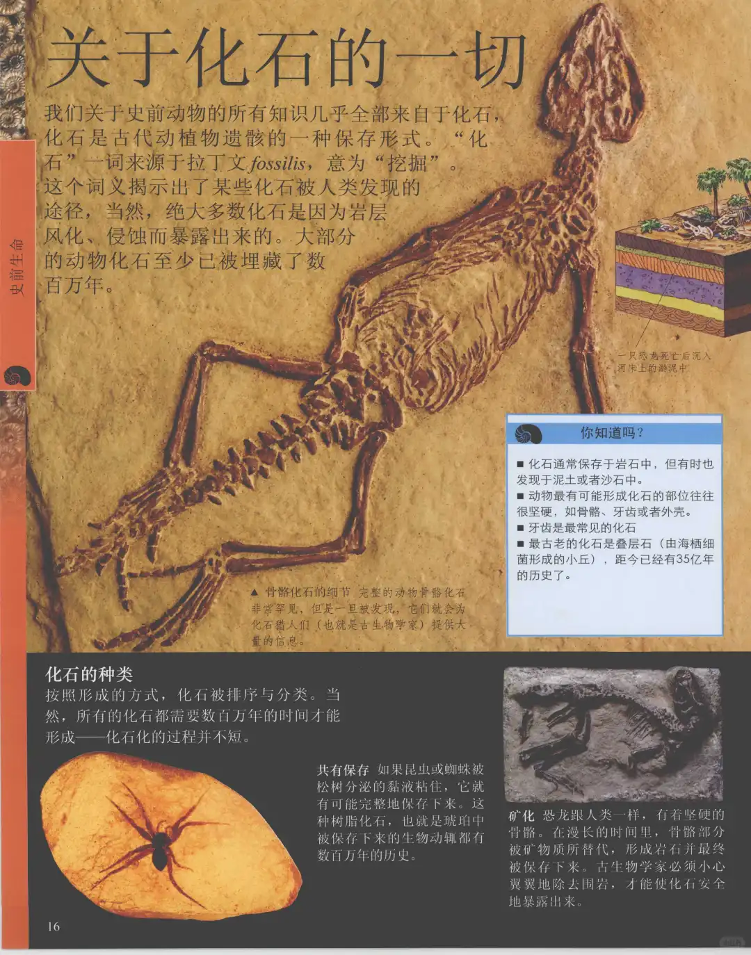 优秀图书推荐-儿童恐龙百科全书