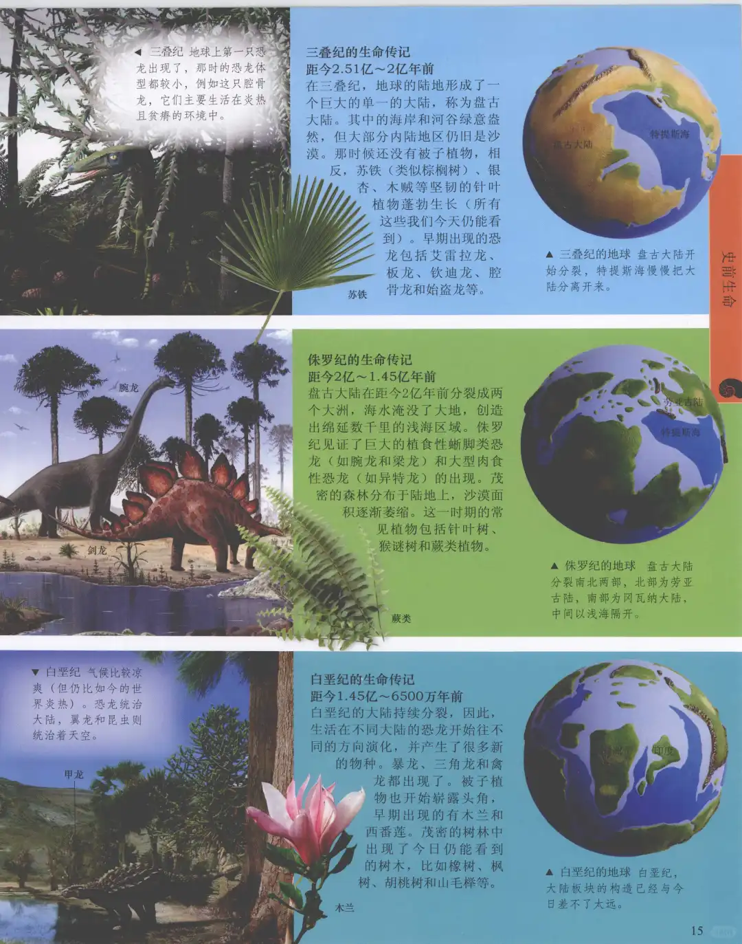 优秀图书推荐-儿童恐龙百科全书