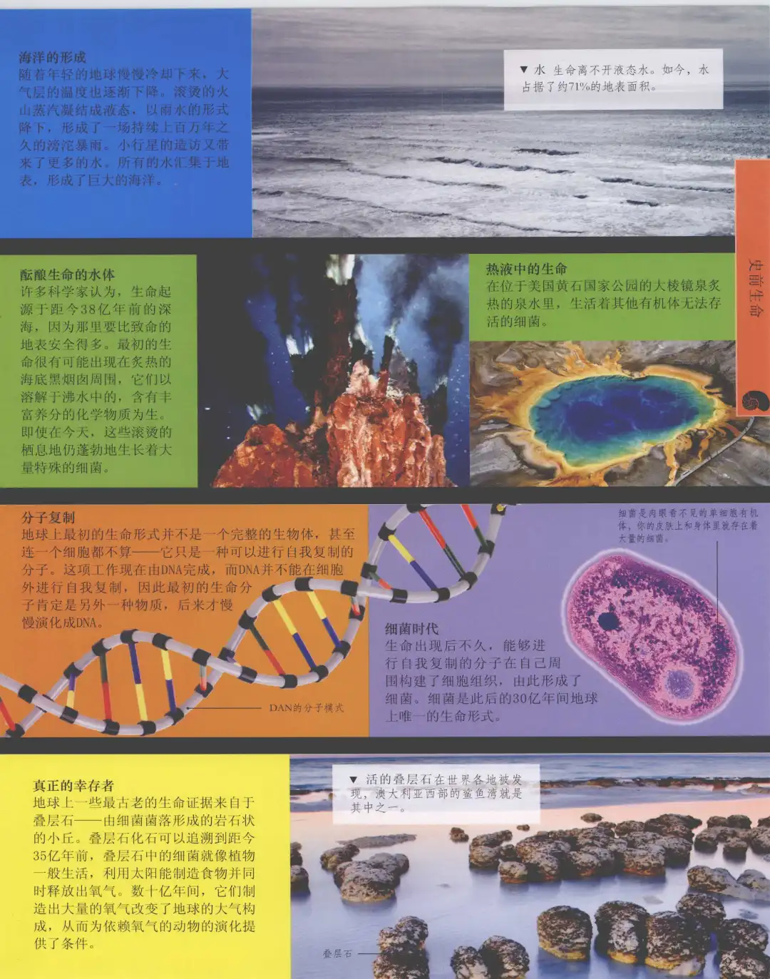 优秀图书推荐-儿童恐龙百科全书