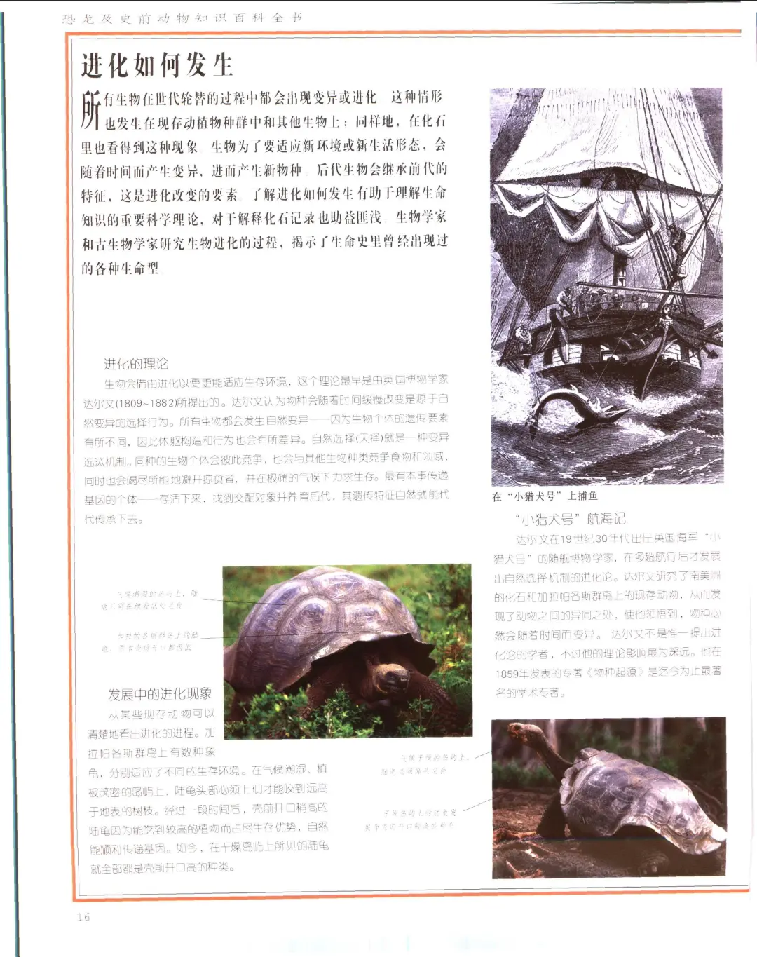 优秀图书推荐-恐龙及史前动物知识百科全书
