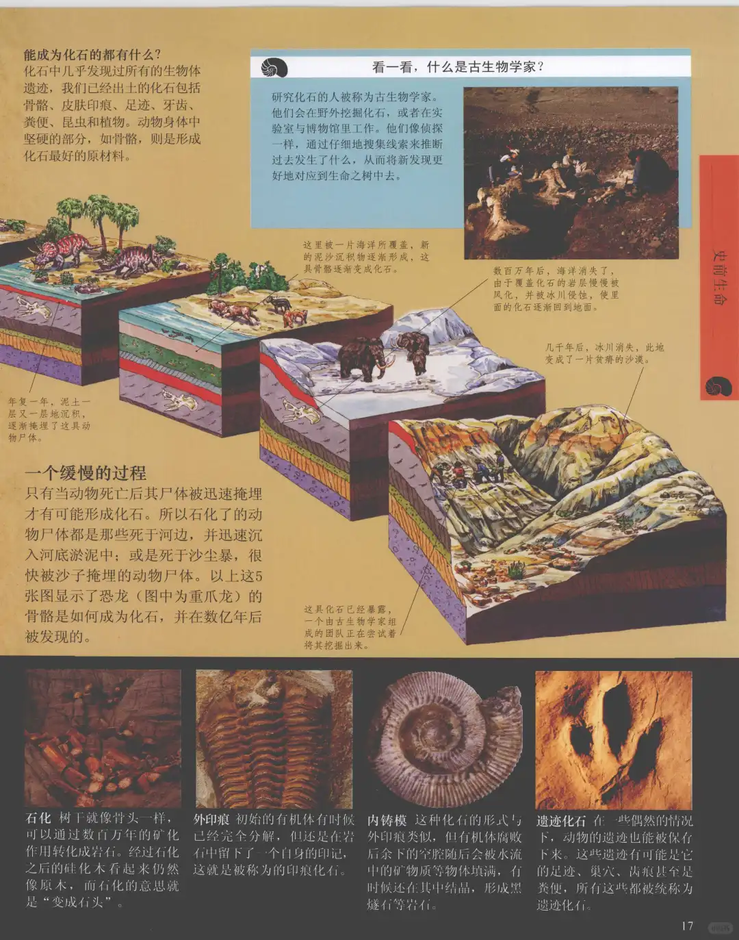 优秀图书推荐-儿童恐龙百科全书