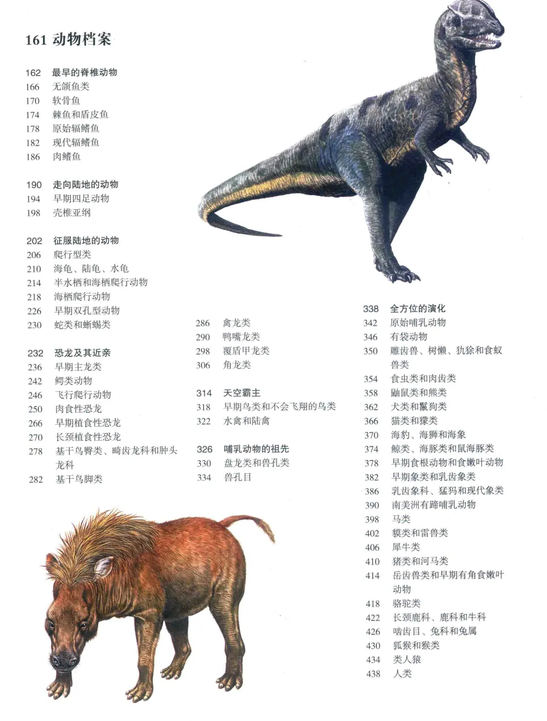 优秀图书推荐-史前世界大图鉴