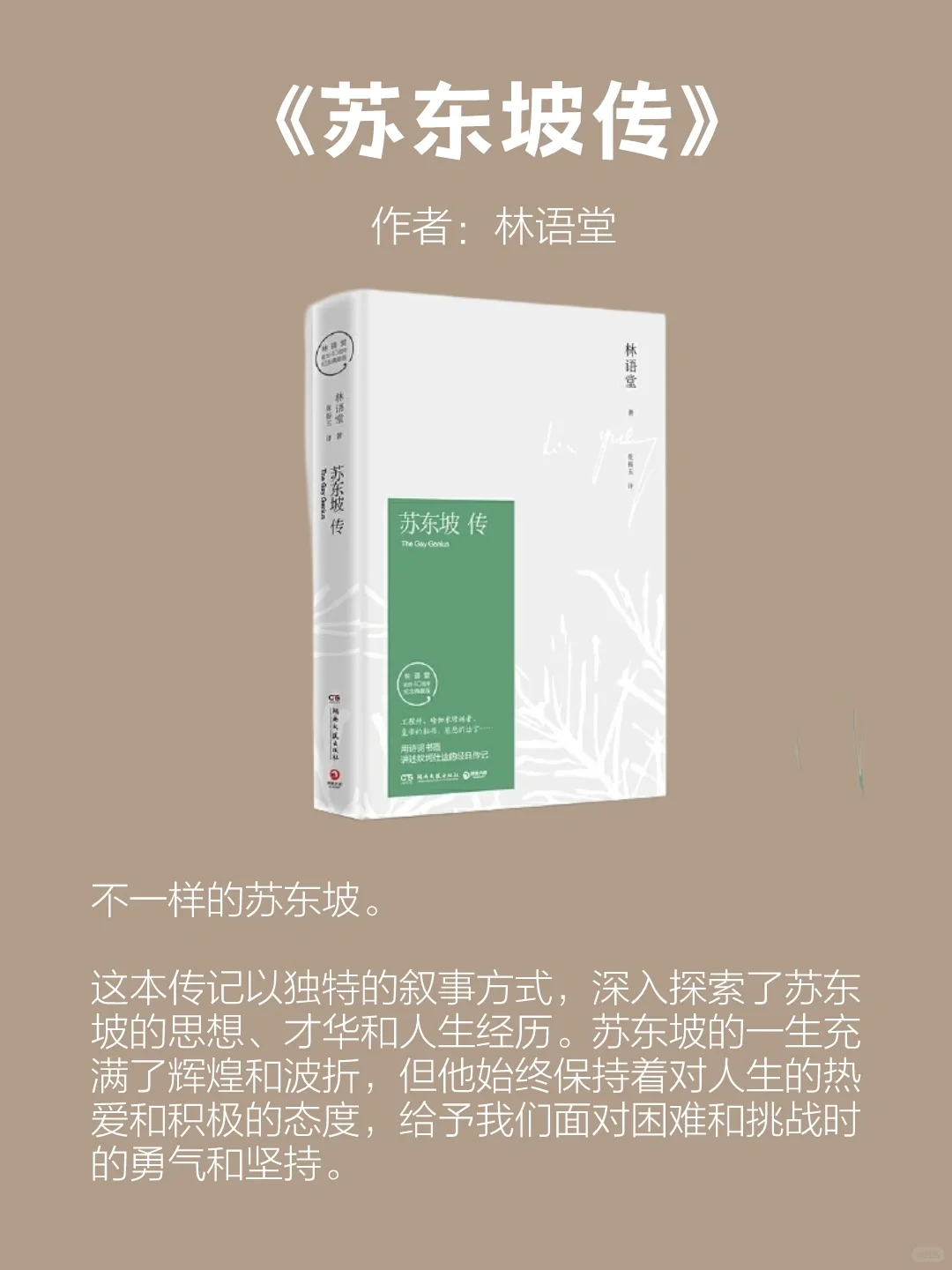 👍董宇辉在直播间反复推荐的10本好书📚