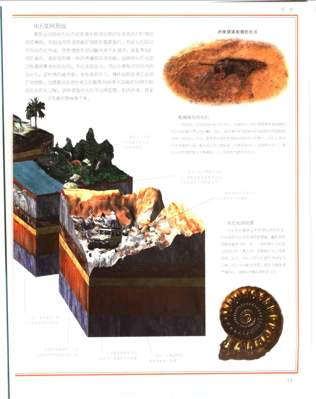 优秀图书推荐-恐龙及史前动物知识百科全书