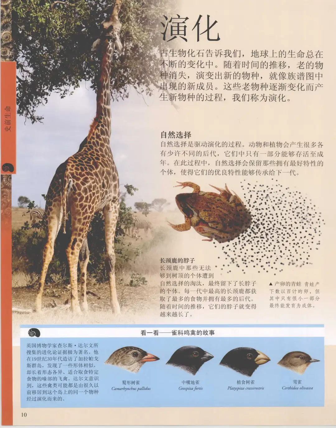 优秀图书推荐-儿童恐龙百科全书
