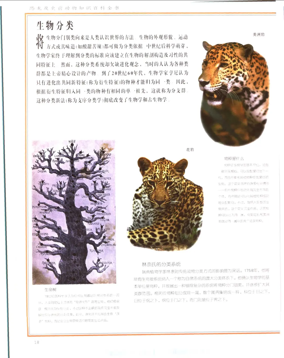优秀图书推荐-恐龙及史前动物知识百科全书