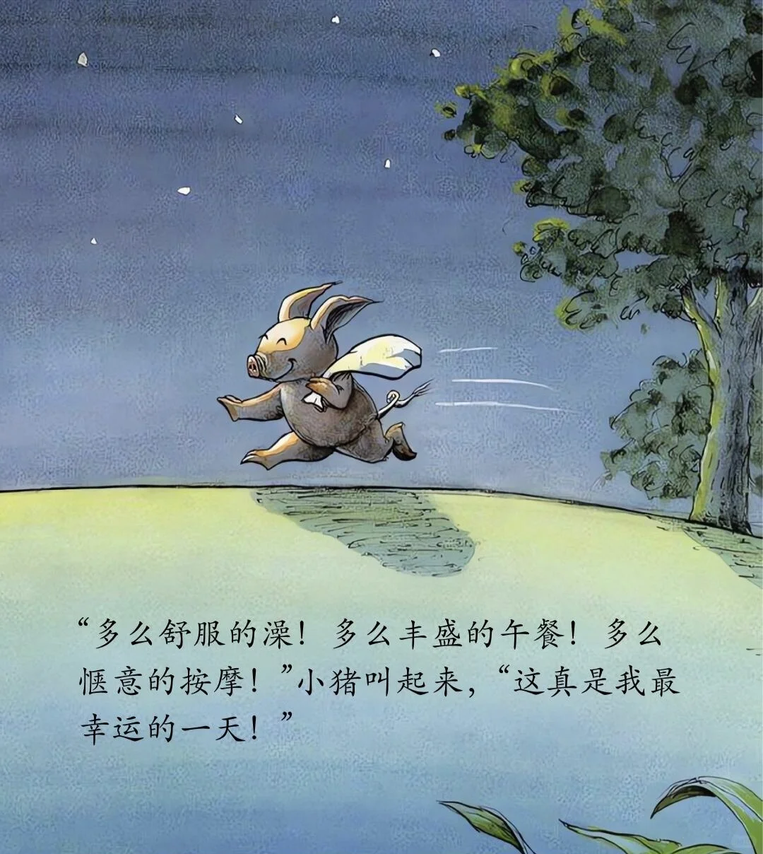 儿童绘本故事分享——《我的幸运一天》
