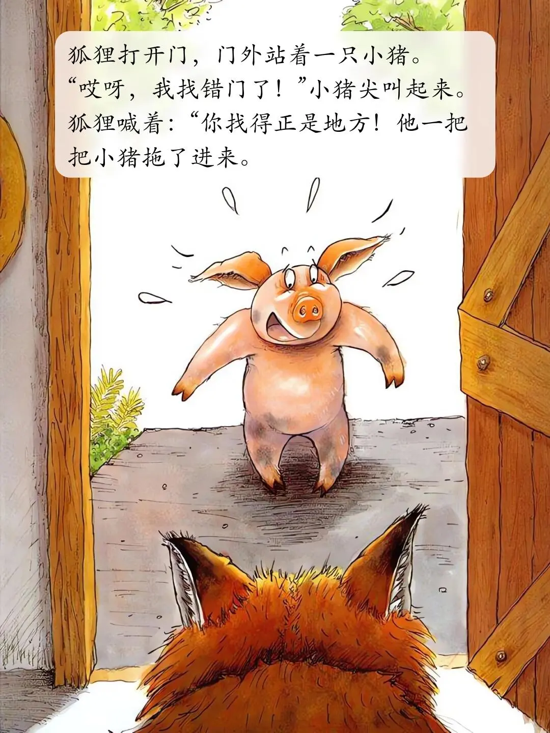 儿童绘本故事分享——《我的幸运一天》