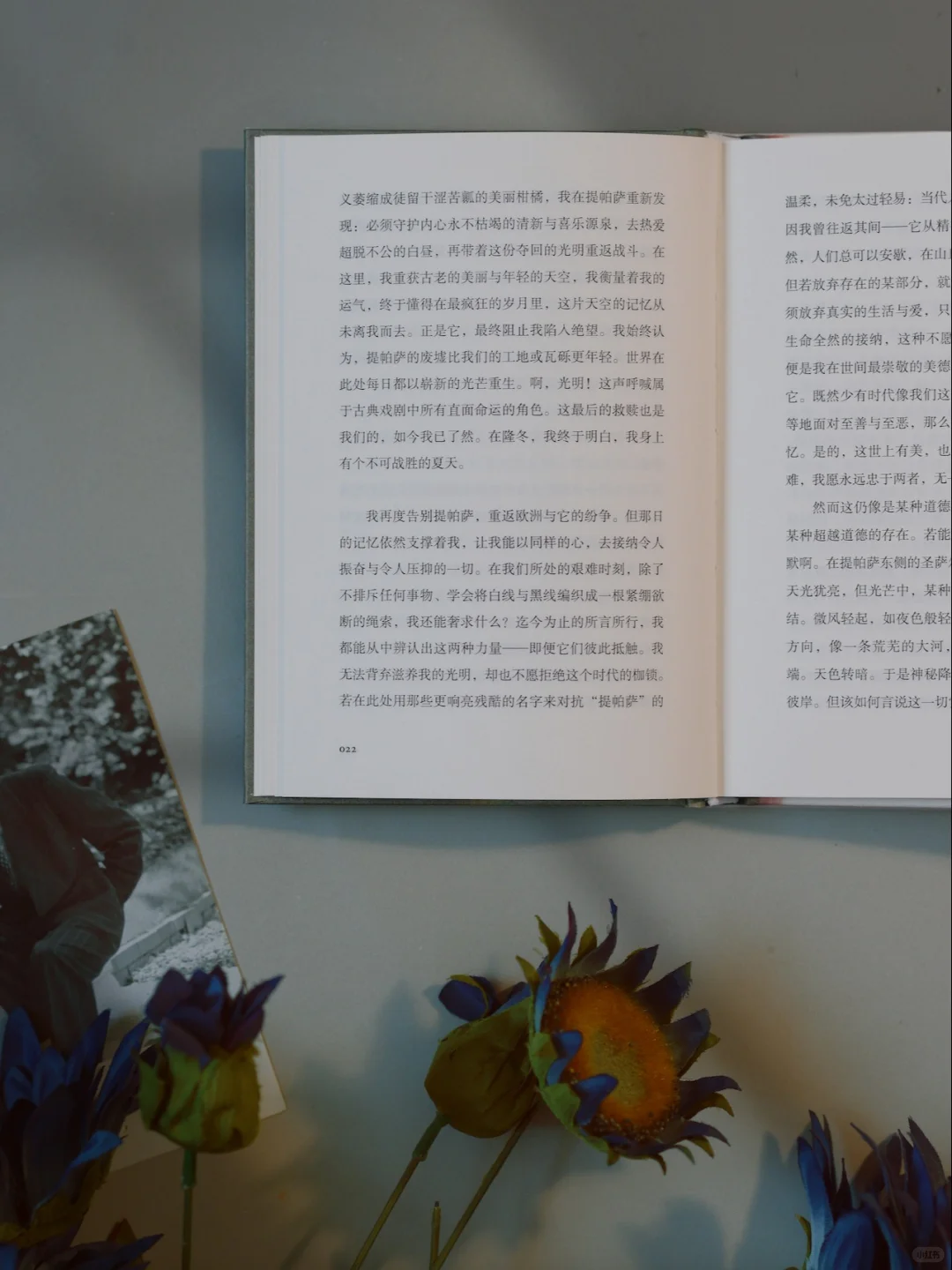 抽奖🎁加缪新书｜限量编码藏书票附赠中！