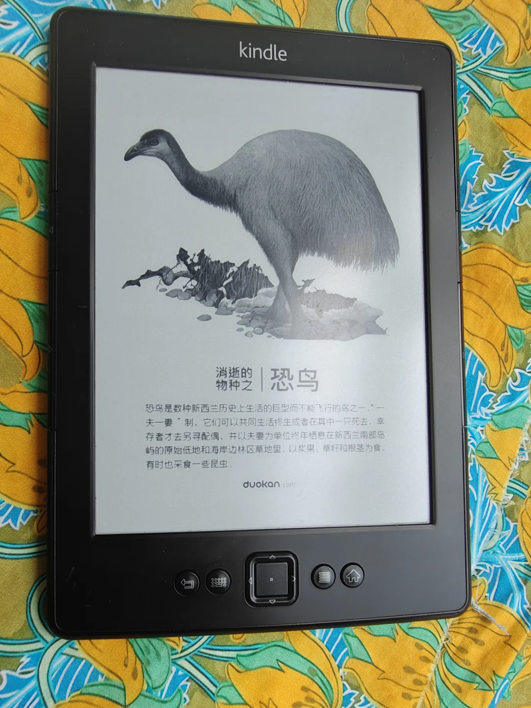 📚 老Kindle的新生