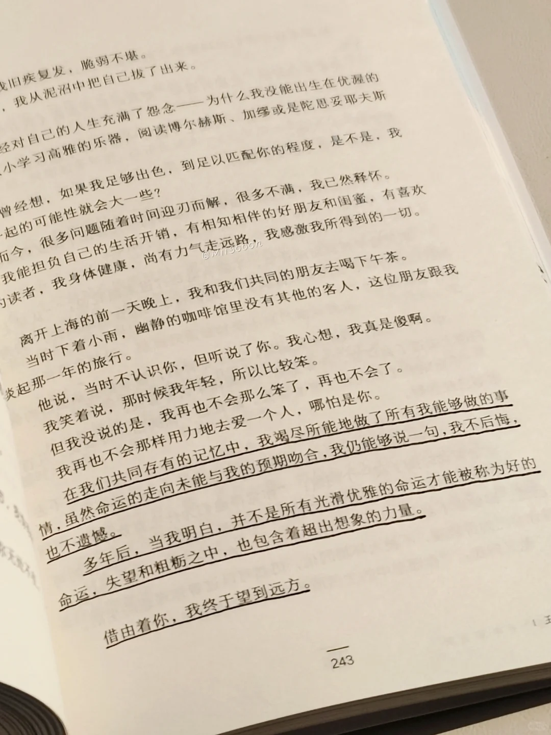 “你说你向往自由，或许还需要一点爱情。”