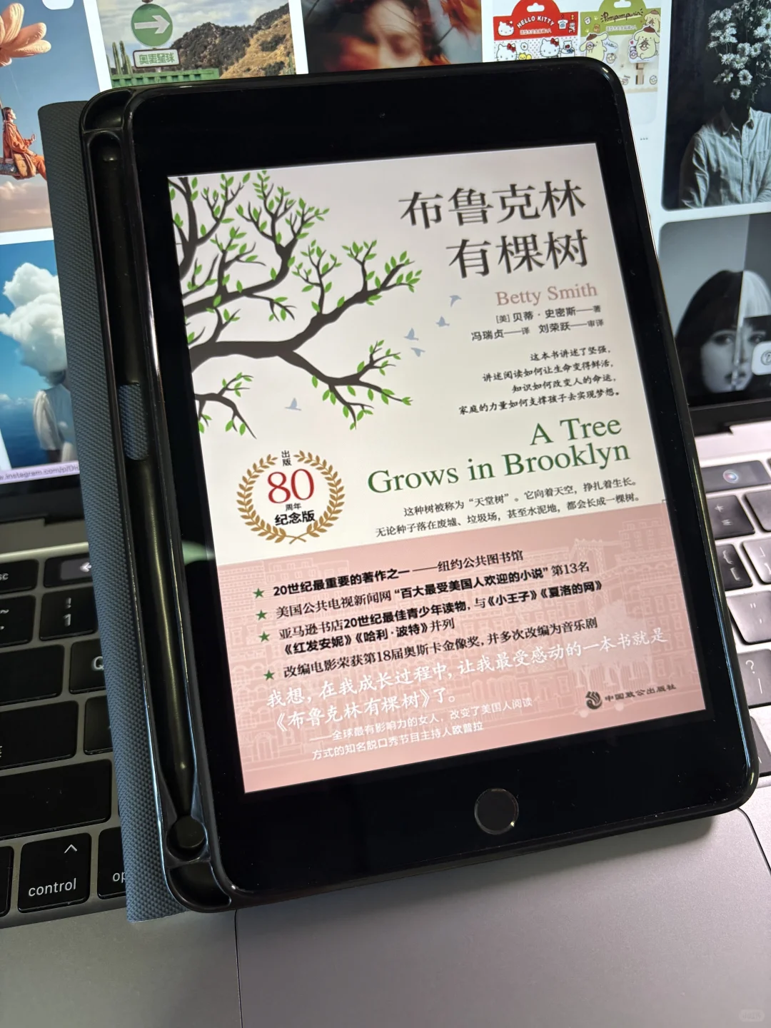 很少用“nb”形容书库，但这个真的杀疯了！