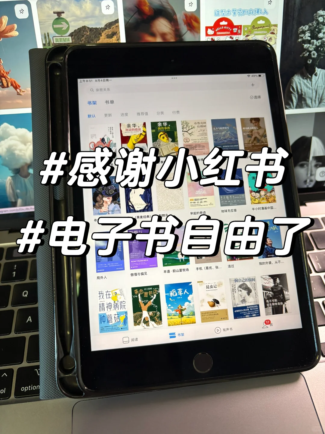 很少用“nb”形容书库，但这个真的杀疯了！