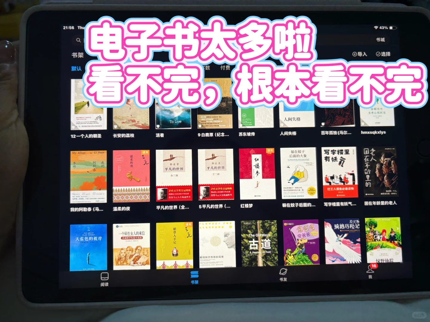 挖到宝藏电子书库啦，我电子书自由啦❗