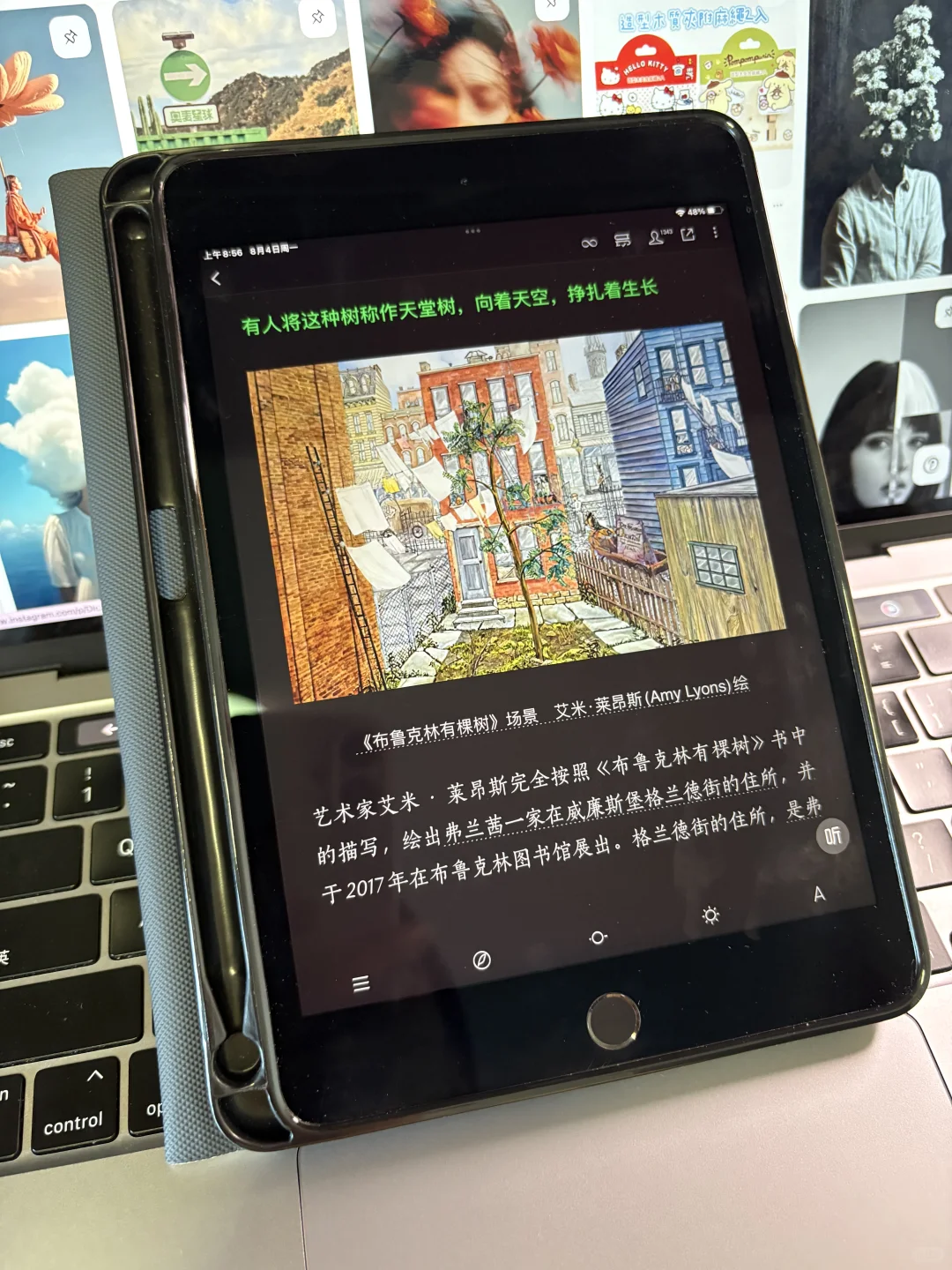 很少用“nb”形容书库，但这个真的杀疯了！