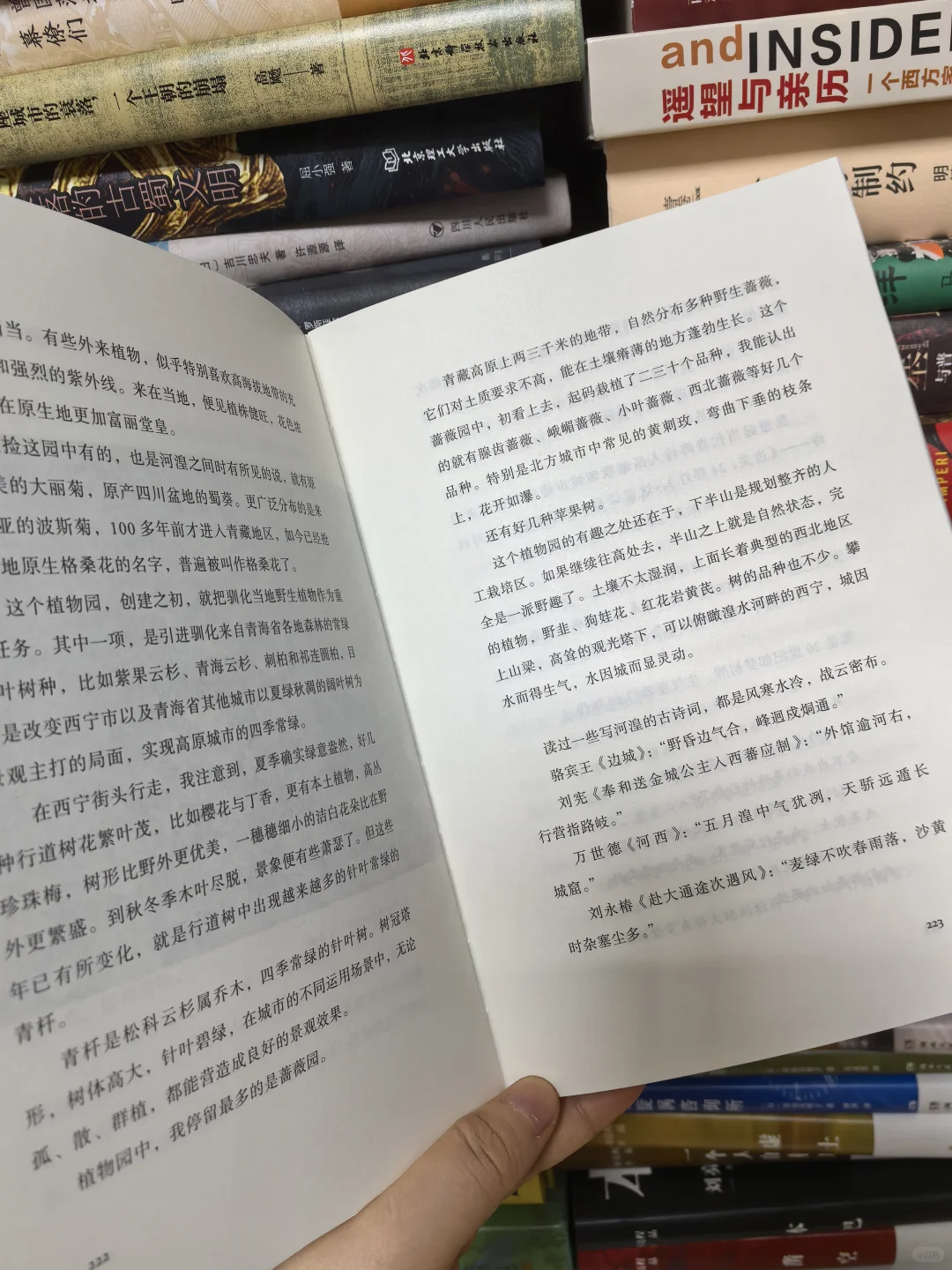 填补黄河源书写空白！强烈推荐阿来新书！！