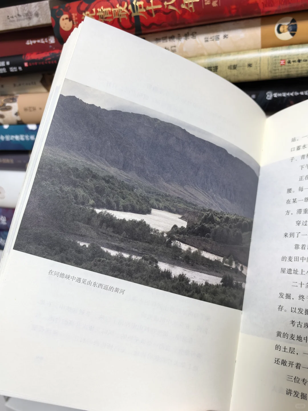 填补黄河源书写空白！强烈推荐阿来新书！！