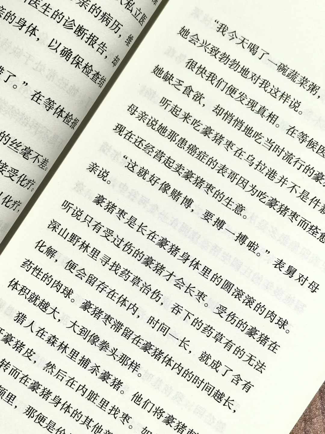 【签名本】林门郑氏_林雪虹_马华文学新书