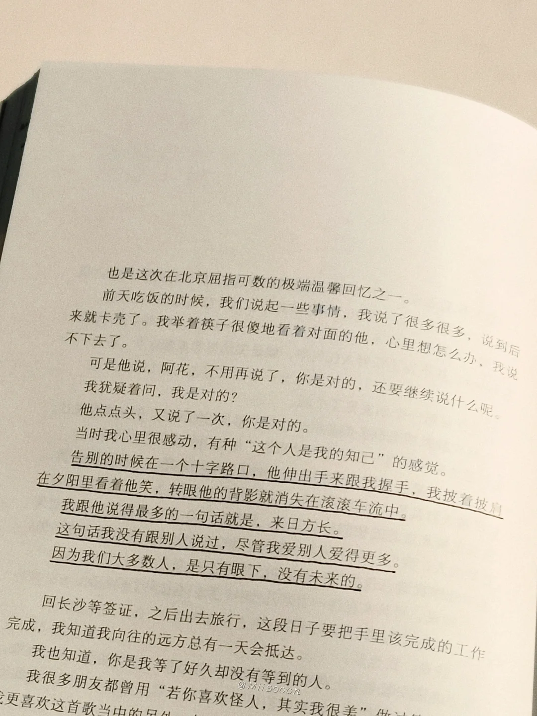“你说你向往自由，或许还需要一点爱情。”