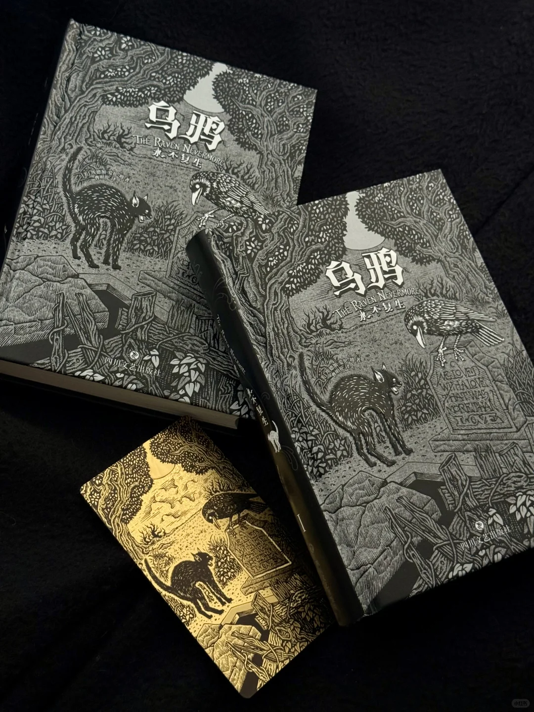 入手爱伦·坡《乌鸦》的最佳时刻！就現在！
