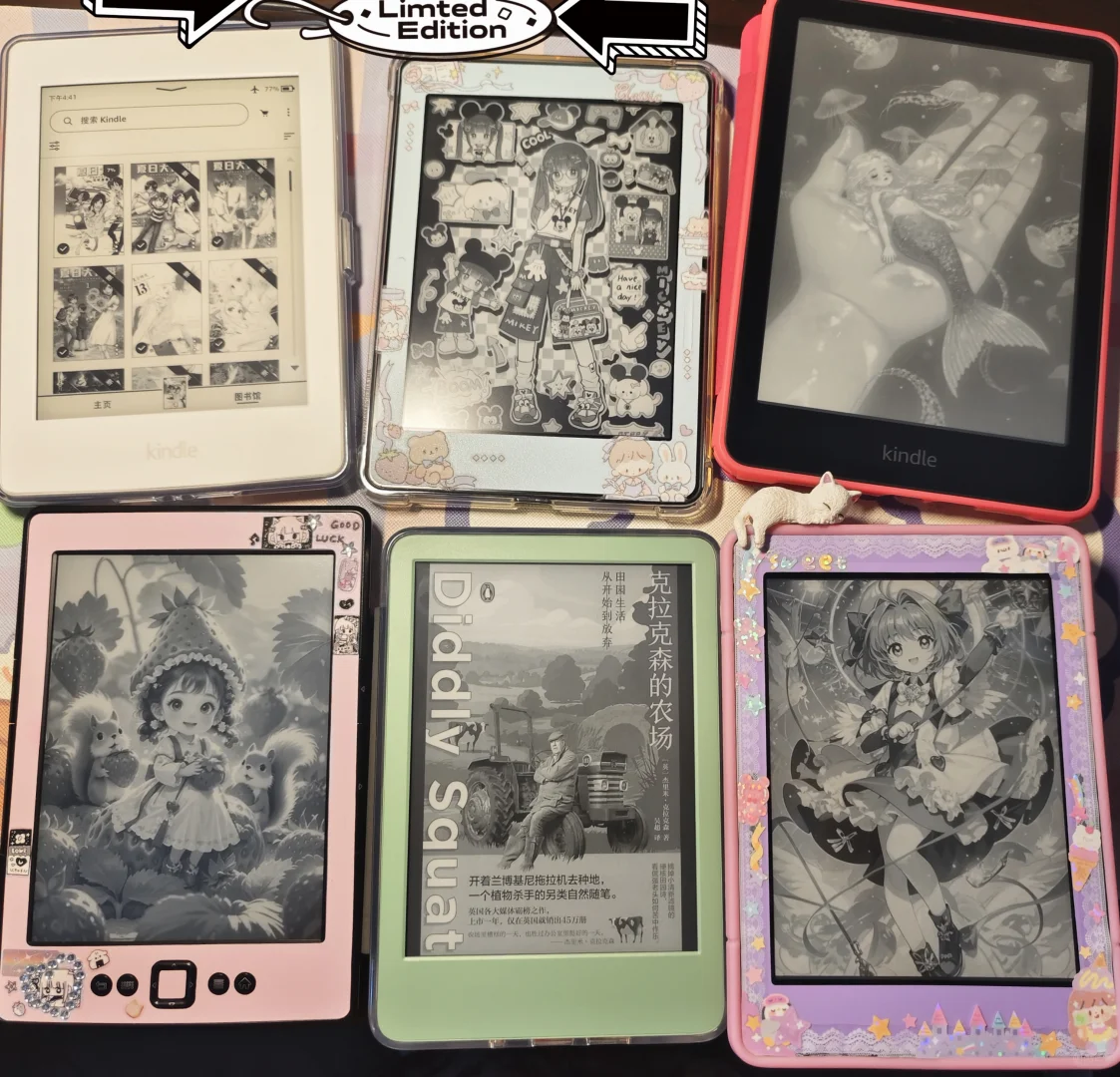 精简墨水屏后最终留下的kindle宝贝们