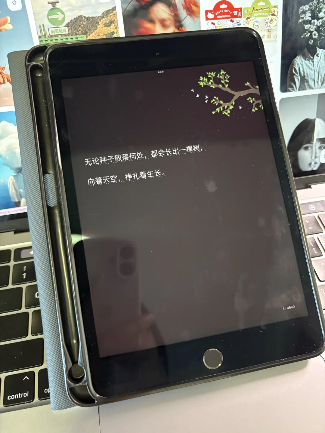 很少用“nb”形容书库，但这个真的杀疯了！