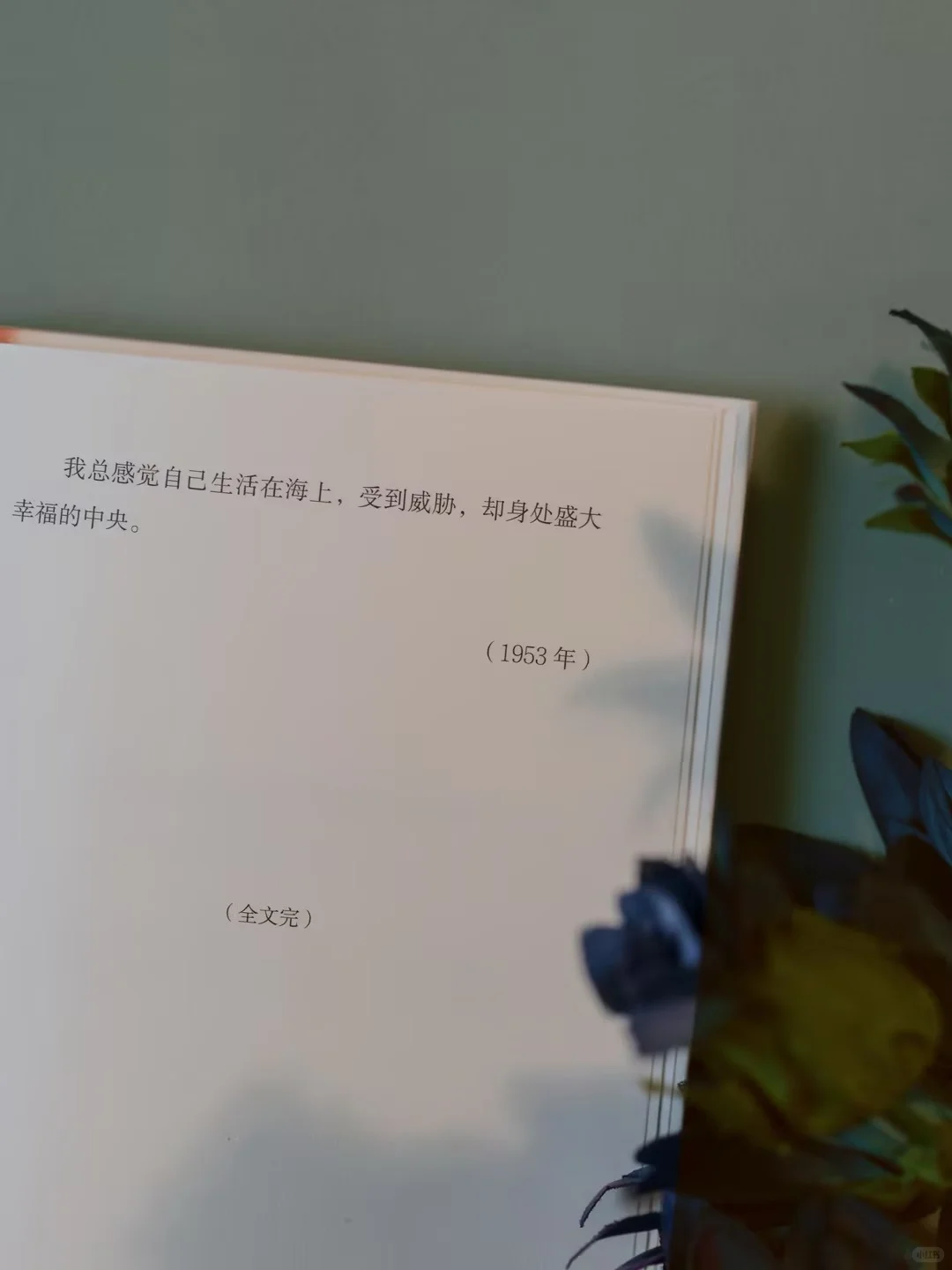 抽奖🎁加缪新书｜限量编码藏书票附赠中！