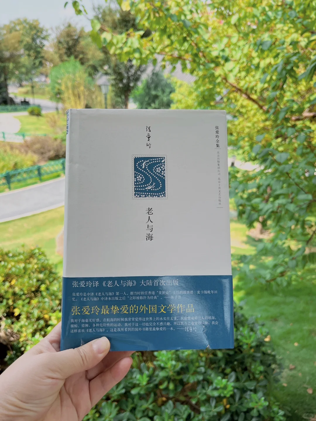 名著难读？分享8本对新手友好外国小说入门书
