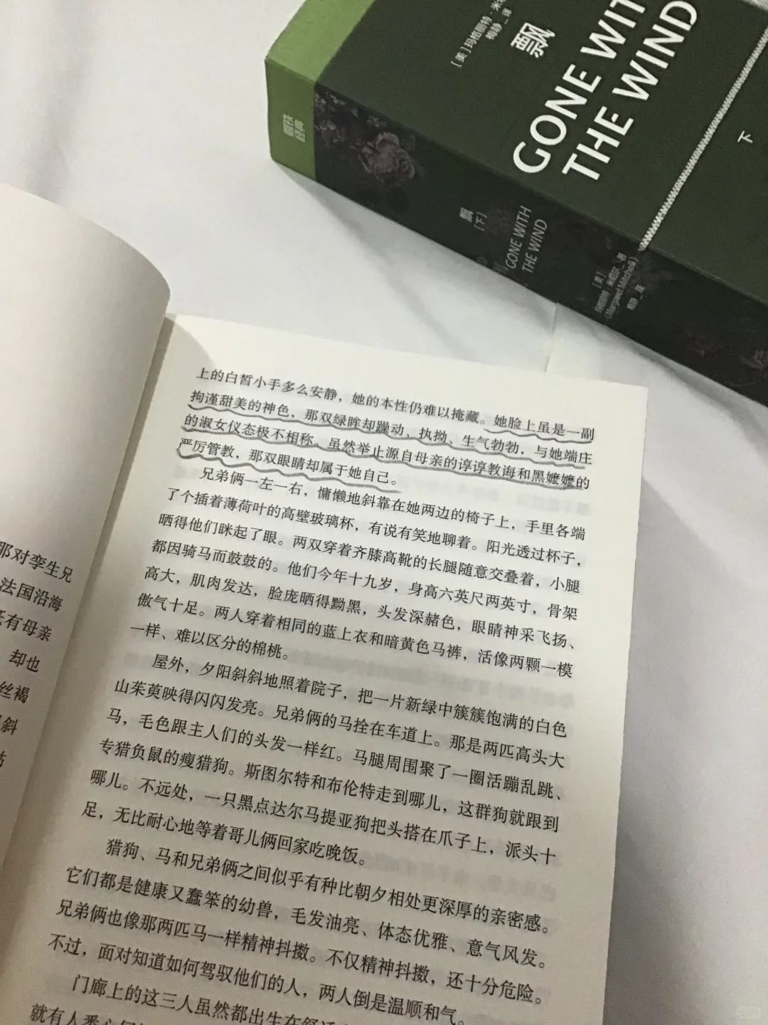 被梅静译本的《飘》美到失语! 太绝了!