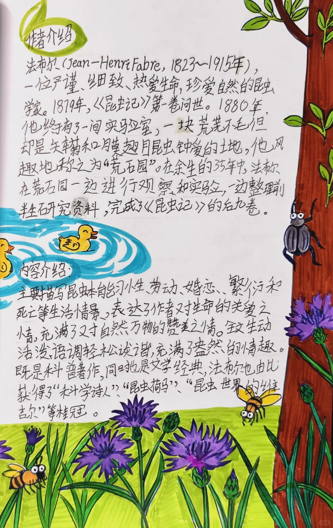 亲子自制小书《昆虫记》