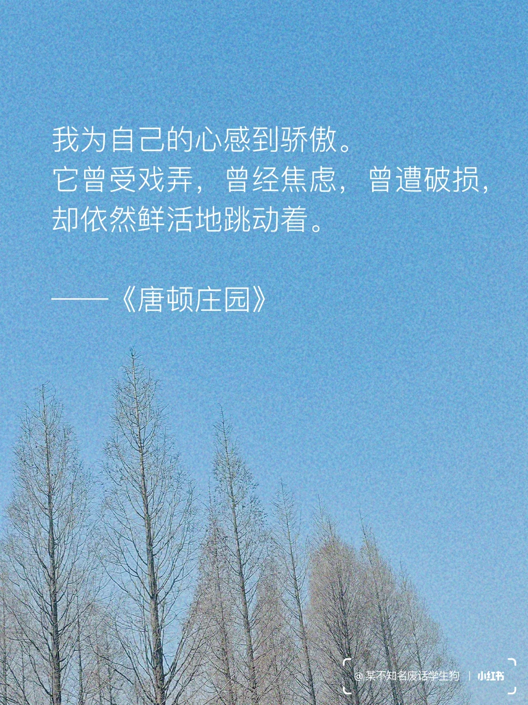 永不褪色的文学经典