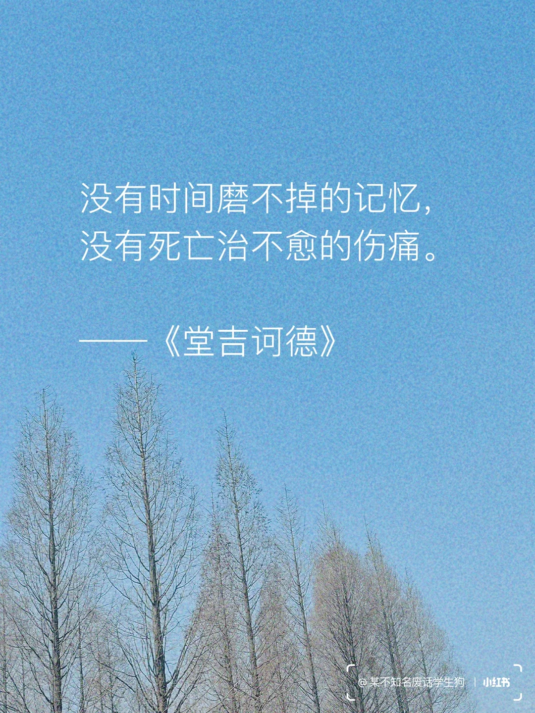 永不褪色的文学经典